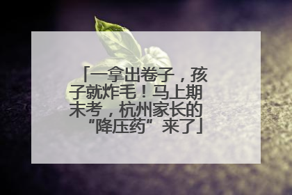 一拿出卷子，孩子就炸毛！马上期末考，杭州家长的“降压药”来了